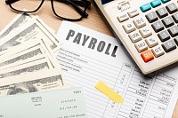 Why Payroll Software is Essential for Businesses of All Sizes